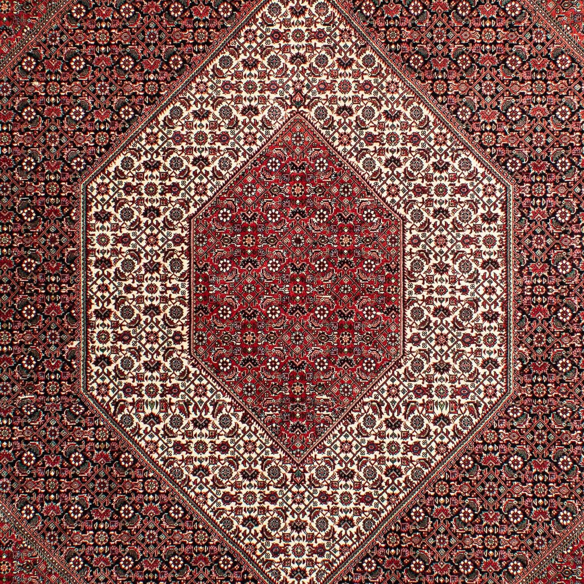 Tapis persan - Bidjar - 293 x 203 cm - rouge clair