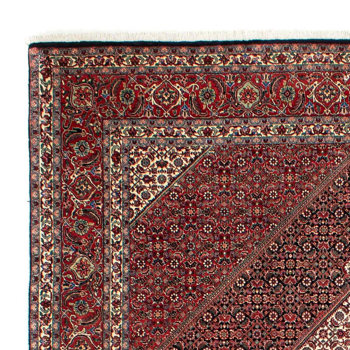 Tapis persan - Bidjar - 293 x 203 cm - rouge clair