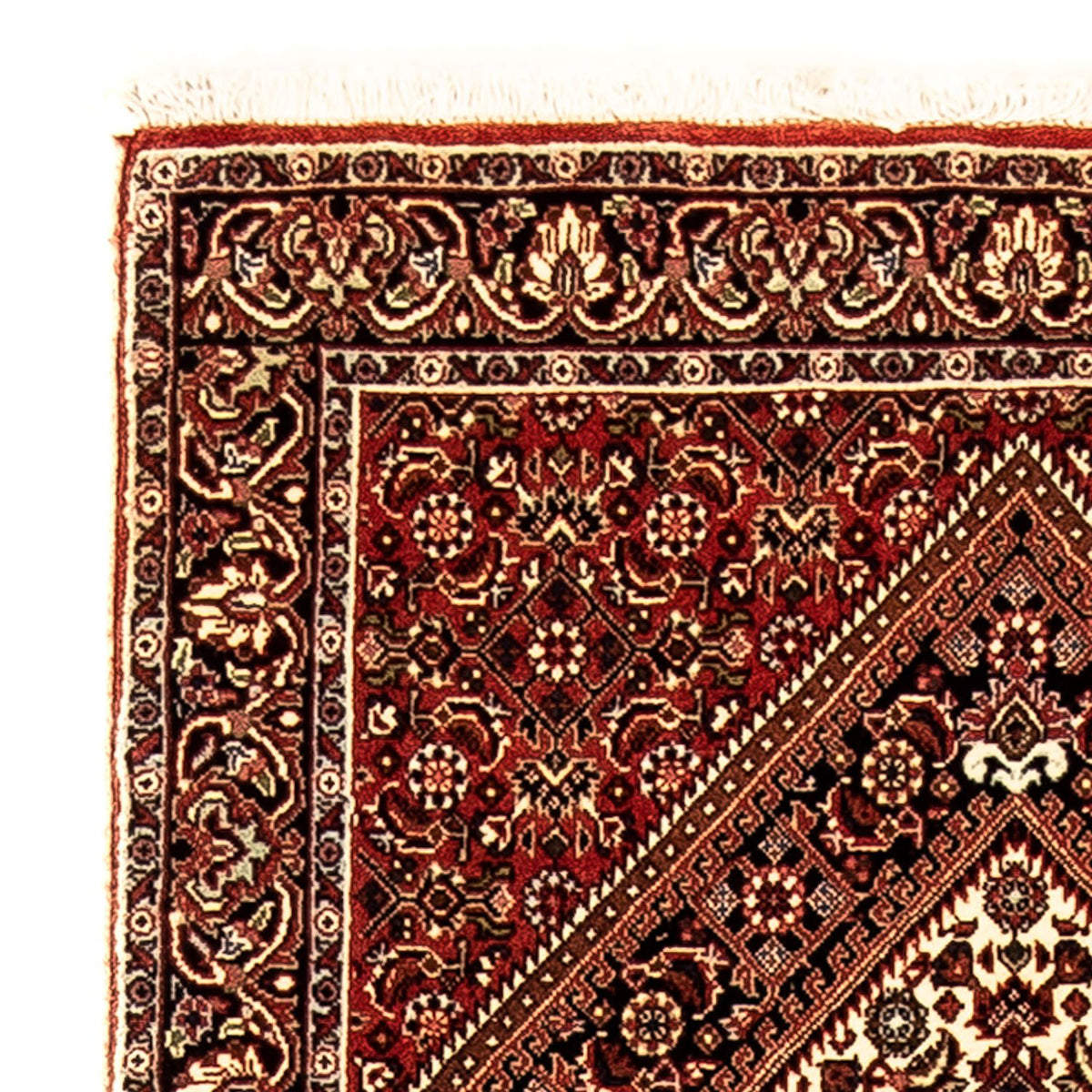 Tapis de couloir Tapis persan - Bidjar - 225 x 69 cm - multicolore