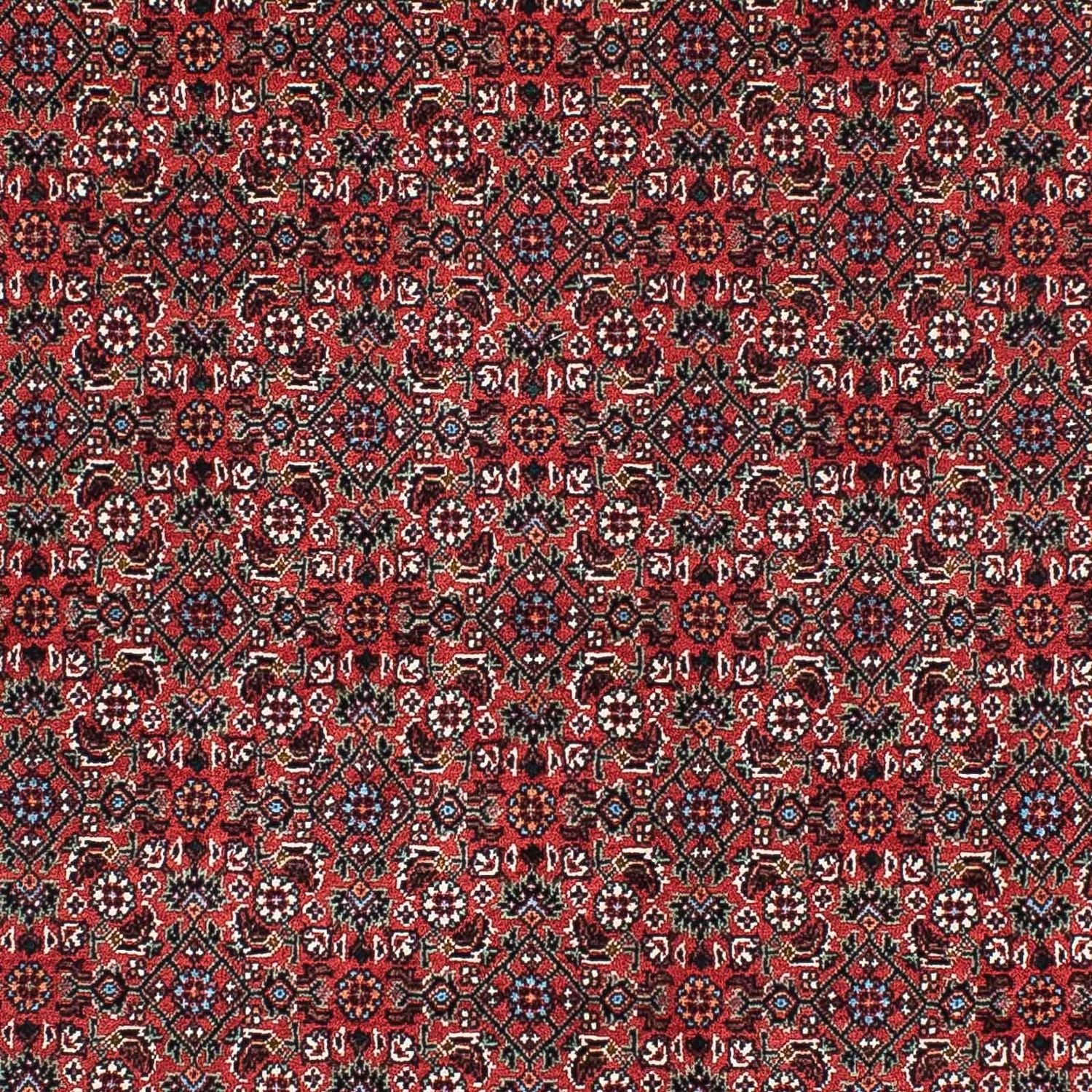 Tapis de couloir Tapis persan - Bidjar - 204 x 99 cm - rouge