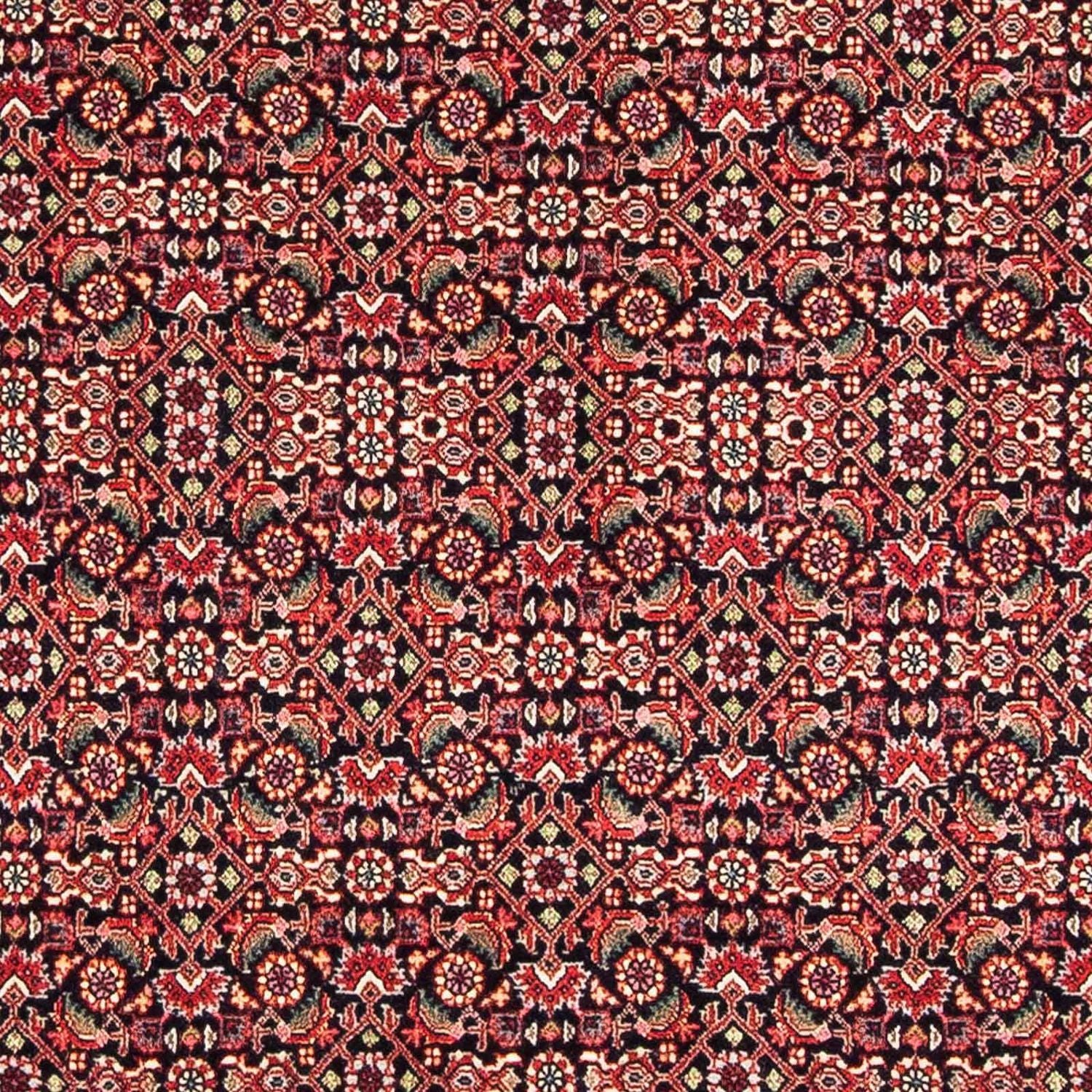Tapis persan - Bidjar - 170 x 108 cm - bleu foncé