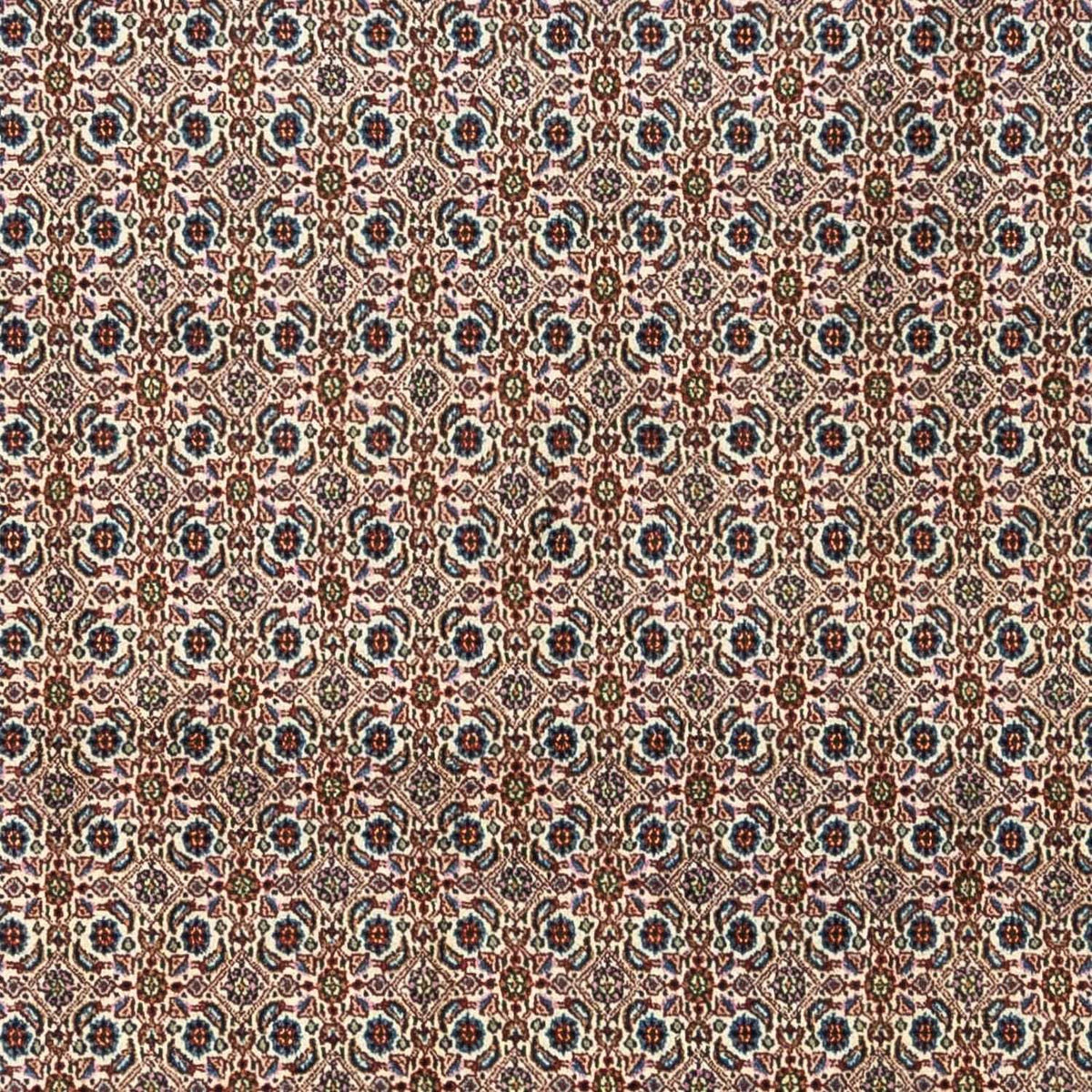 Tapis persan - Classique - 345 x 243 cm - beige