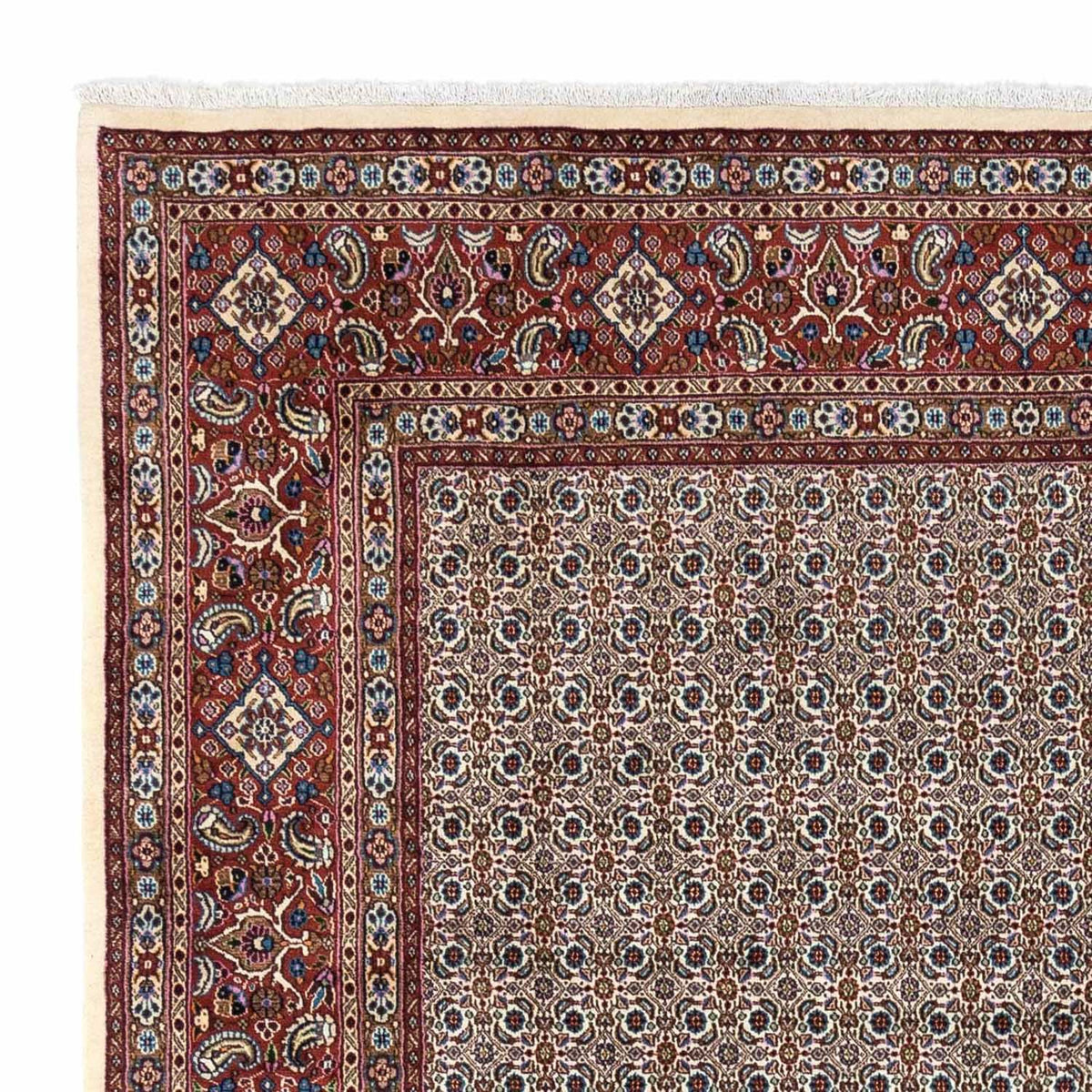 Tapis persan - Classique - 345 x 243 cm - beige