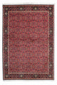 Bidjar - Zanjan Tapis 206x140cm - Tapis persan