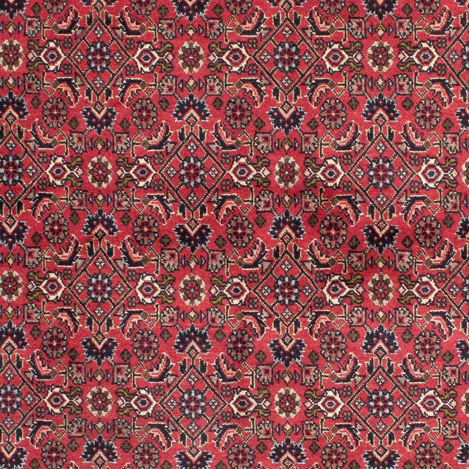 Tapis persan - Bidjar - 206 x 140 cm - rouge