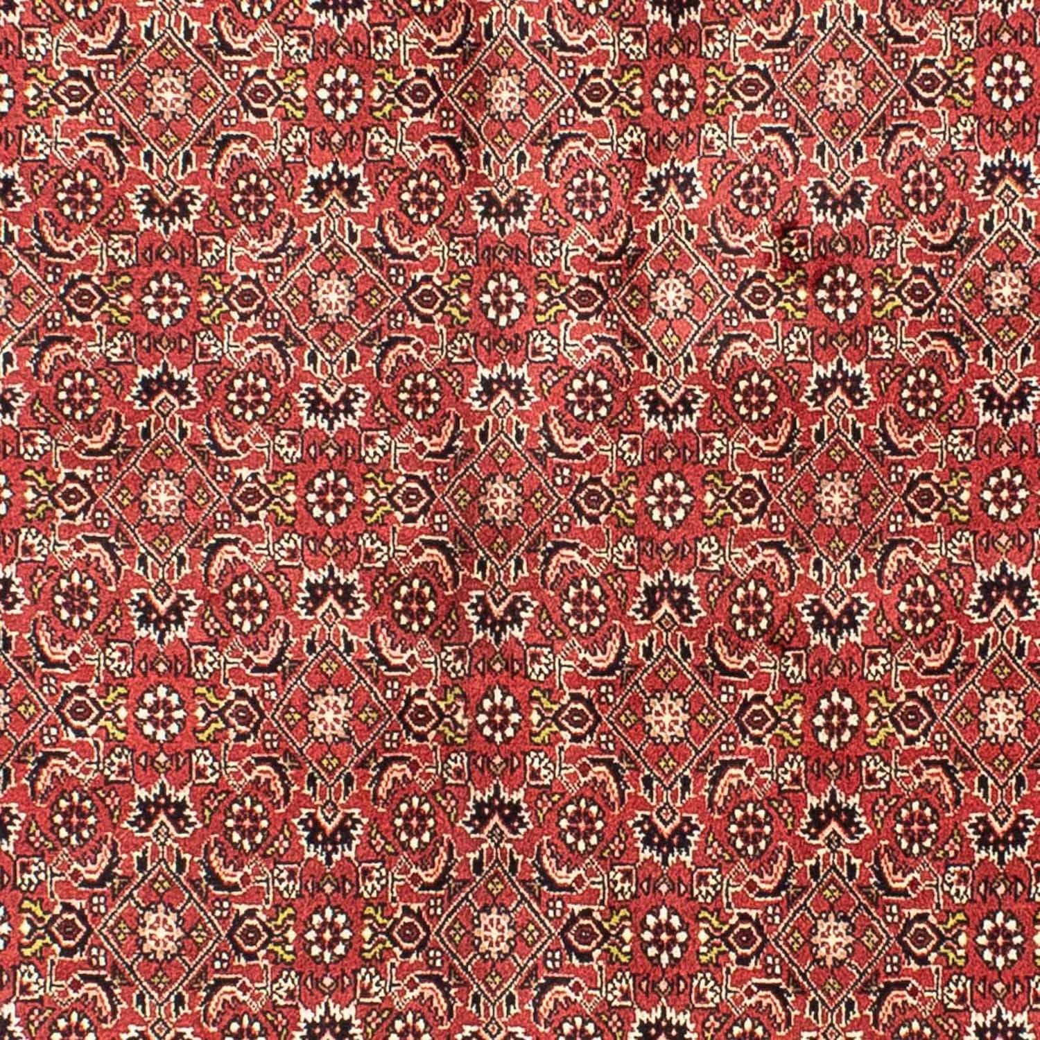 Tapis persan - Bidjar - 205 x 141 cm - rouge foncé