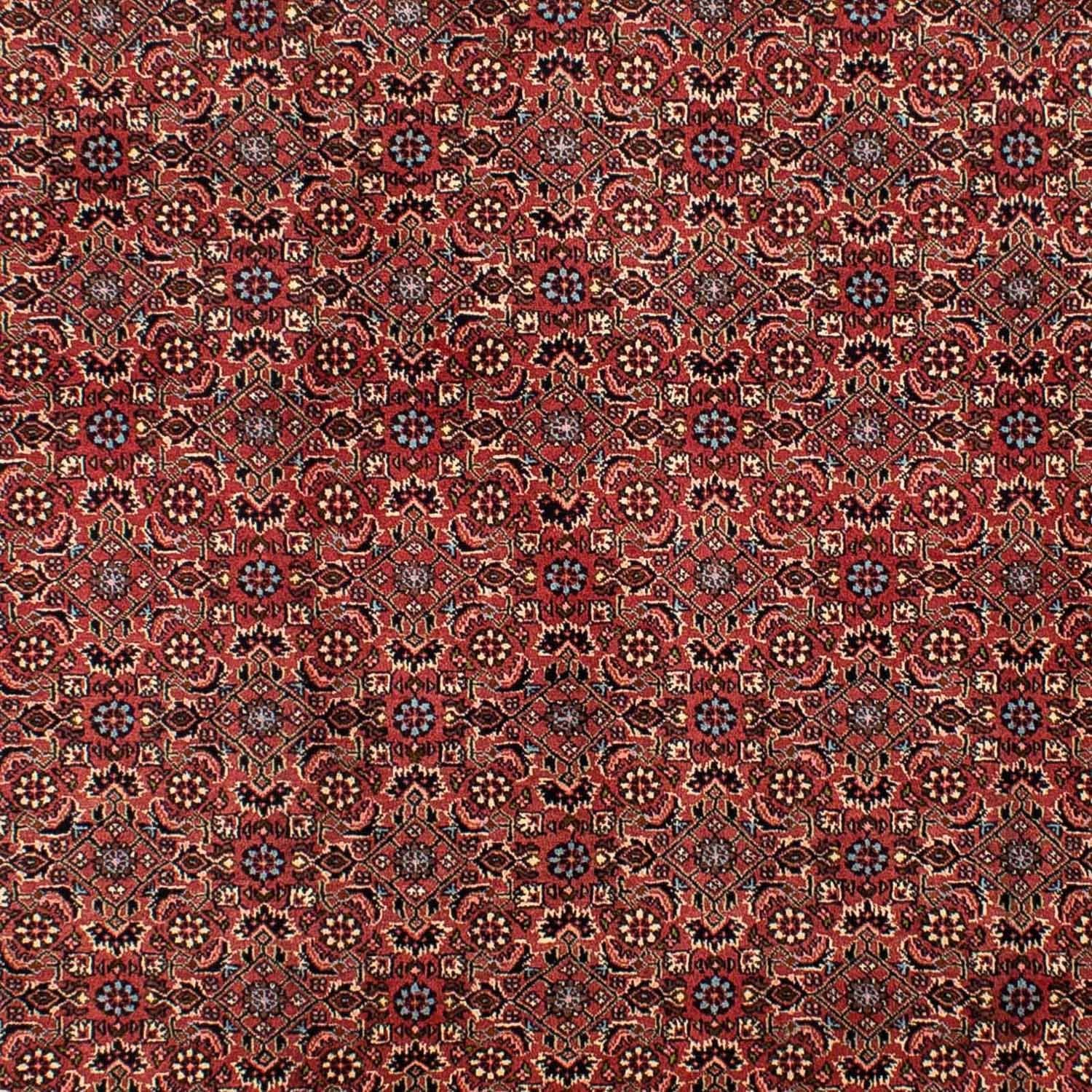 Tapis persan - Bidjar - 300 x 200 cm - rouge foncé