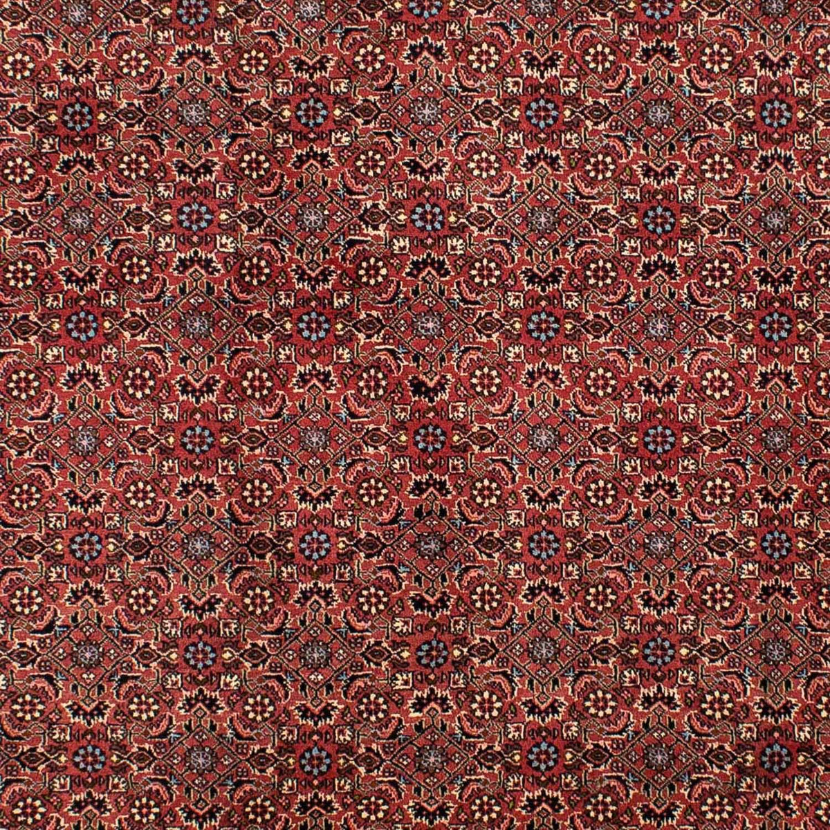 Tapis persan - Bidjar - 300 x 200 cm - rouge foncé