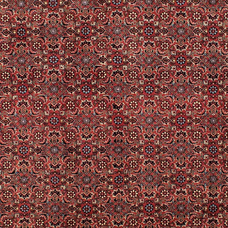 Tapis persan - Bidjar - 300 x 200 cm - rouge foncé