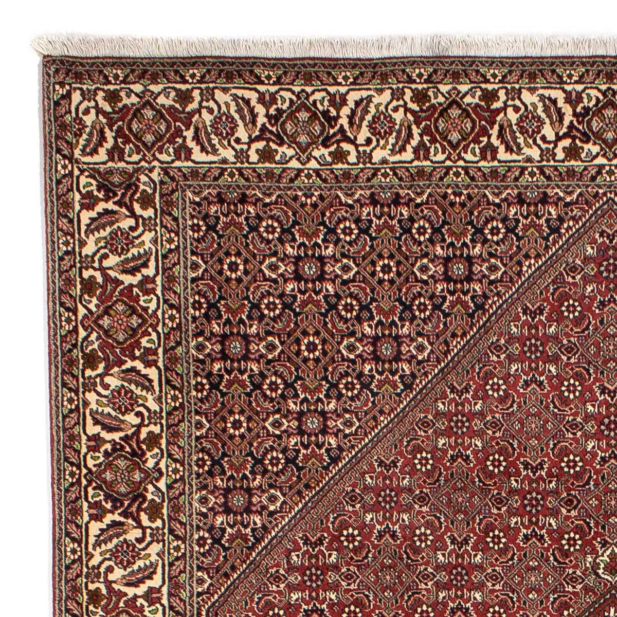 Tapis de Bidjar Tapis 204x295cm - Tapis persan