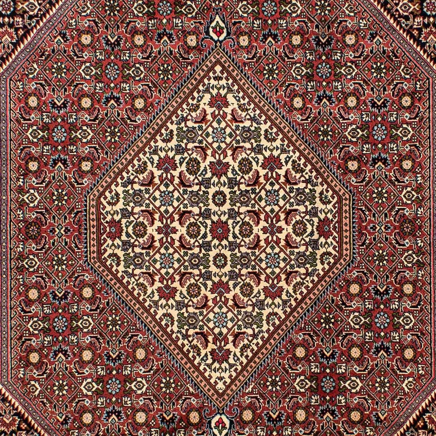 Tapis persan - Bidjar - 291 x 196 cm - rouge clair