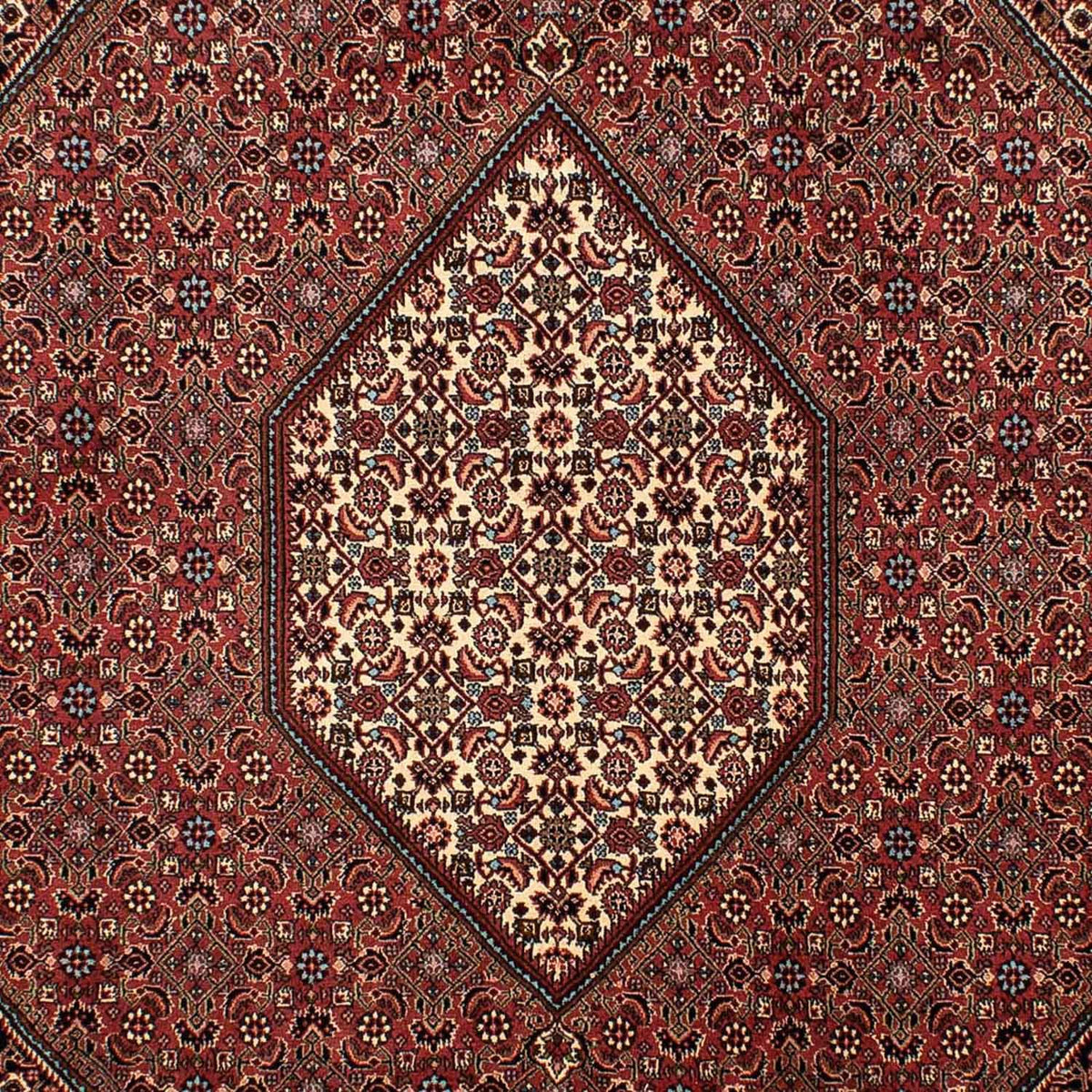 Tapis persan - Bidjar - 298 x 206 cm - marron
