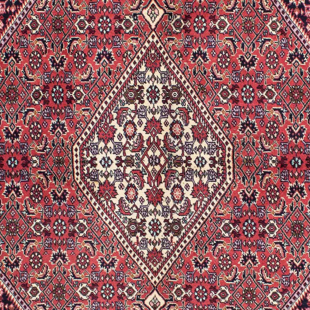 Tapis persan - Bidjar - 230 x 141 cm - rouge