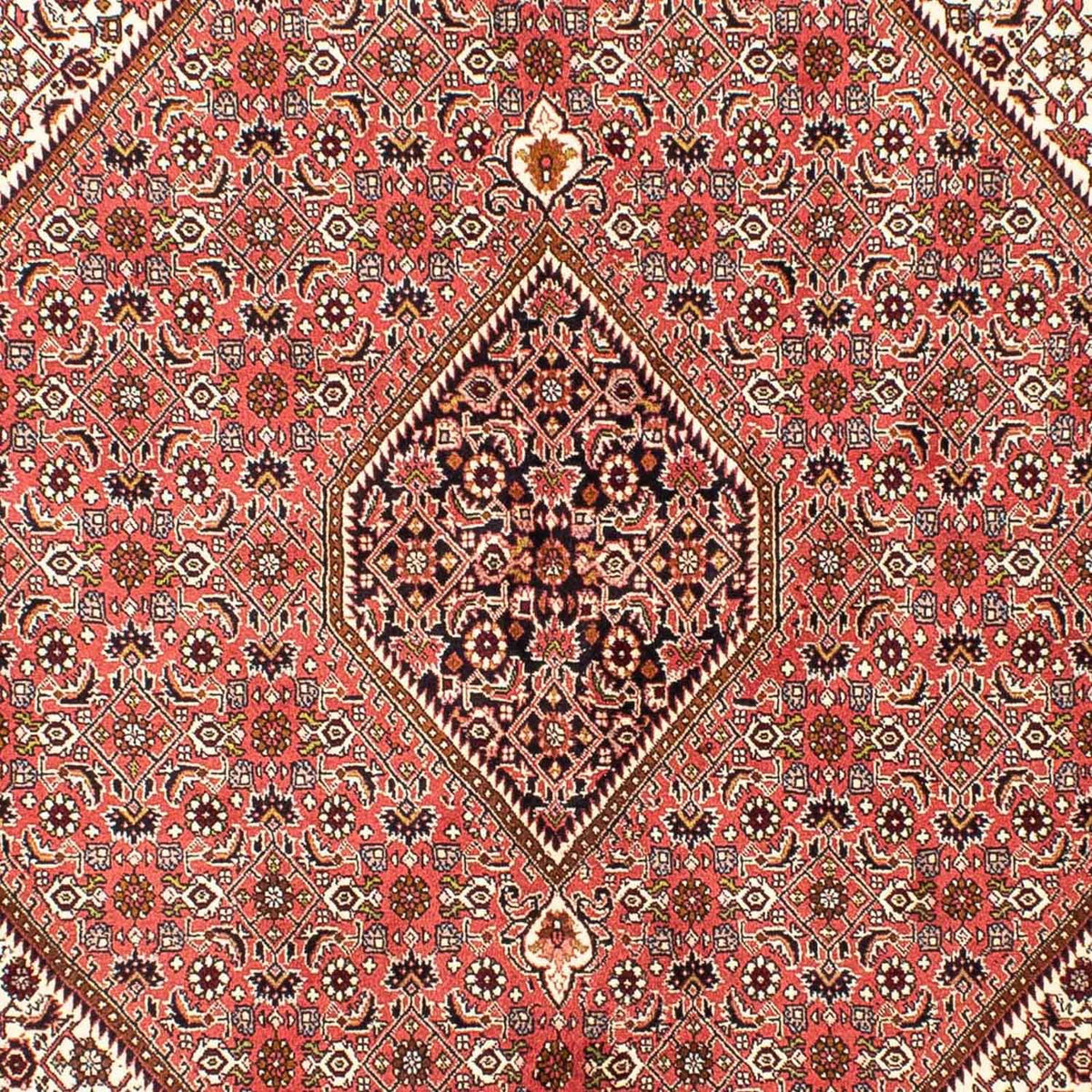 Tapis persan - Bidjar - 237 x 176 cm - rouge clair