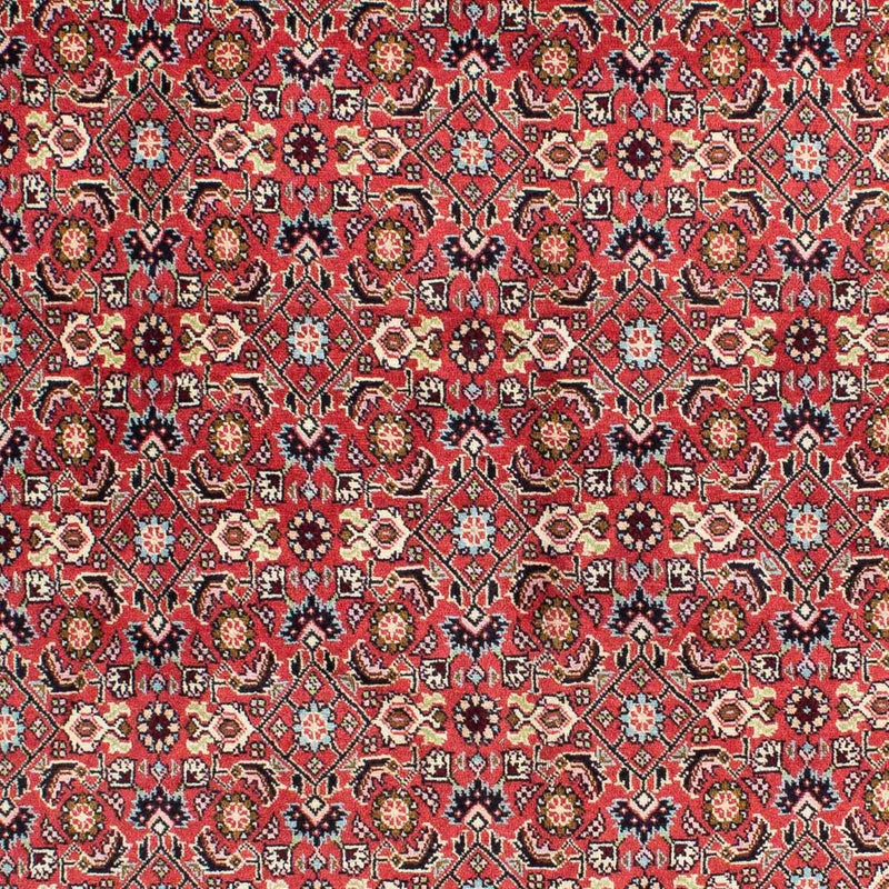 Tapis persan - Bidjar - 233 x 138 cm - rouge