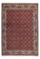 Bidjar - Zanjan Tapis 193x137cm - Tapis persan