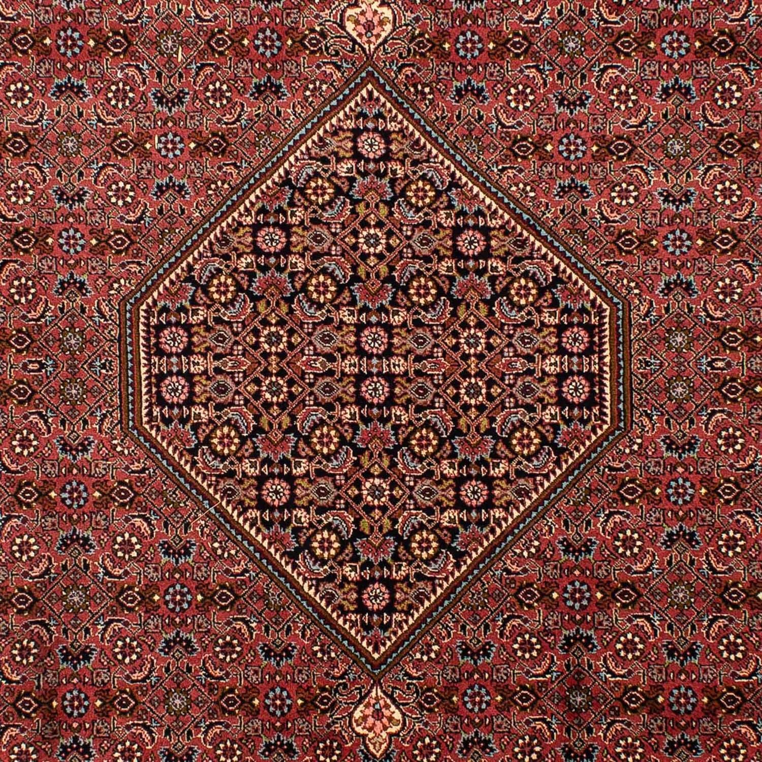 Tapis persan - Bidjar - 321 x 197 cm - marron