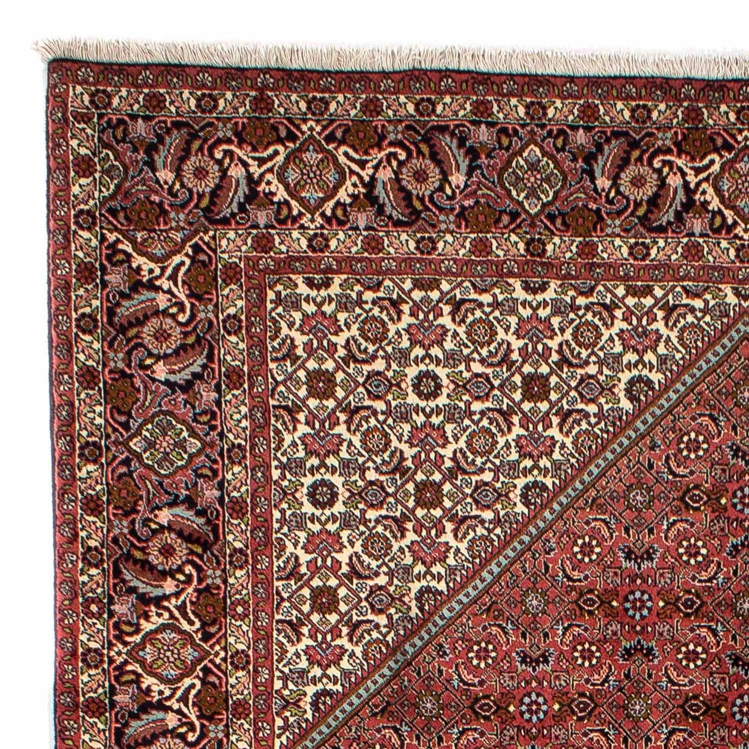Tapis persan - Bidjar - 321 x 197 cm - marron