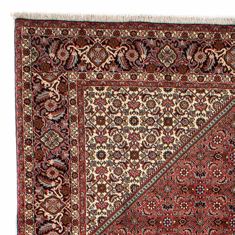 Tapis persan - Bidjar - 321 x 197 cm - marron