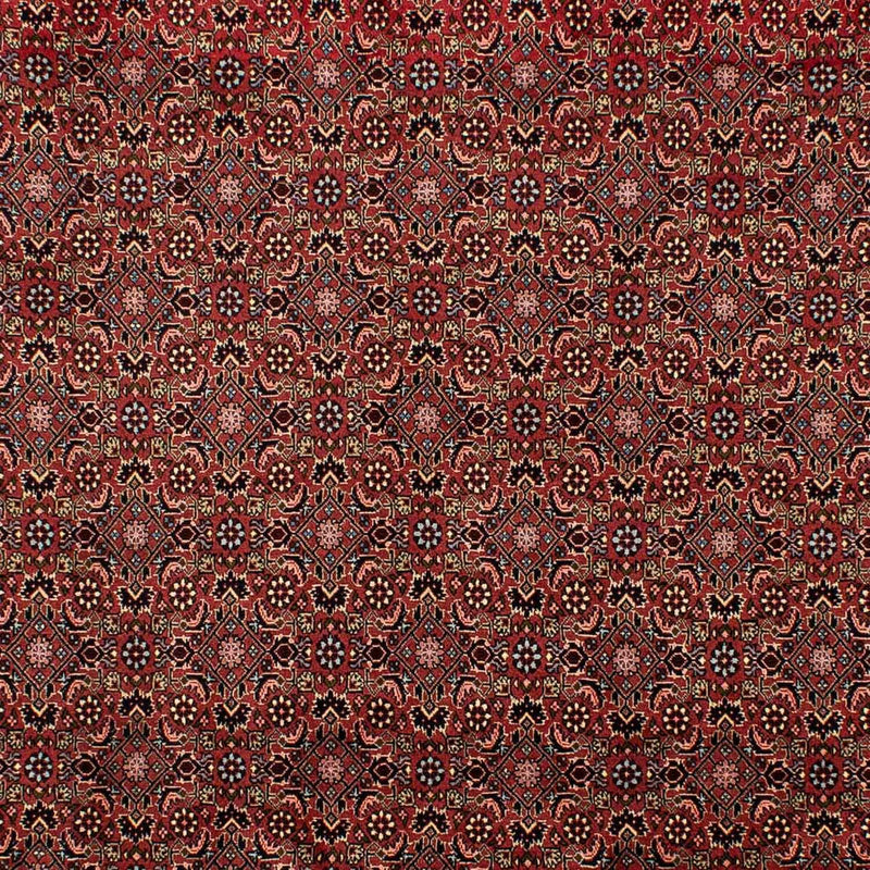Tapis persan - Bidjar - 298 x 198 cm - rouge foncé