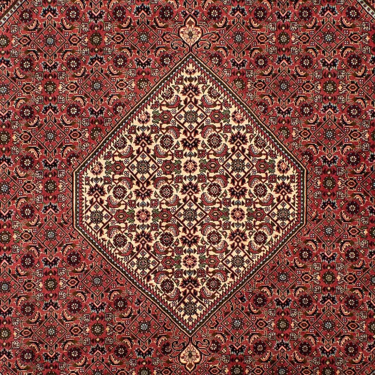 Tapis persan - Bidjar - 308 x 200 cm - rouge clair