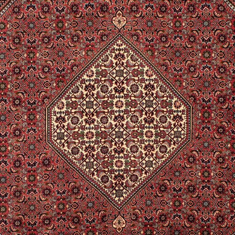 Tapis persan - Bidjar - 308 x 200 cm - rouge clair