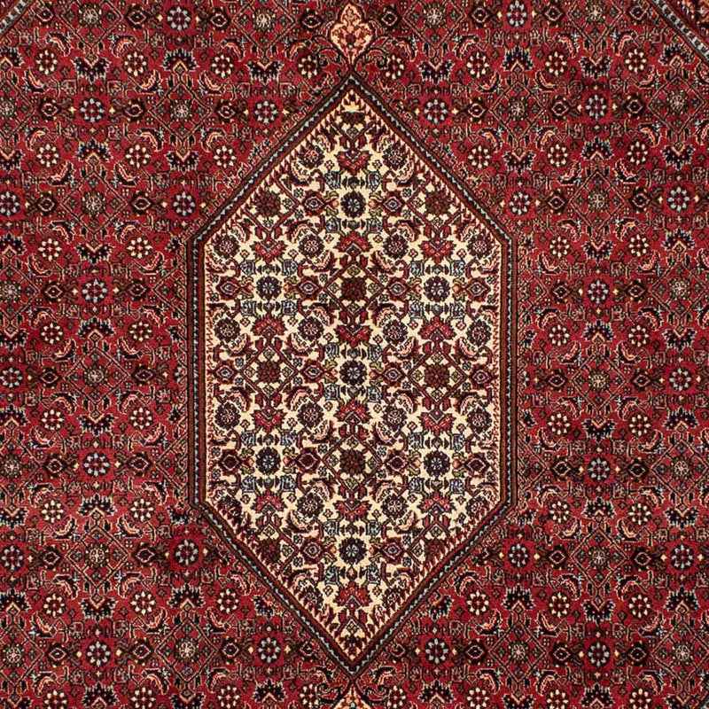 Tapis persan - Bidjar - 282 x 204 cm - rouge foncé