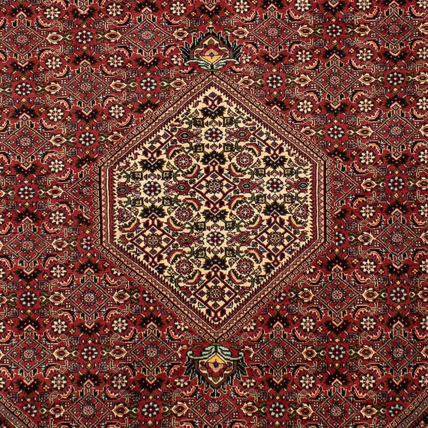 Tapis persan - Bidjar - 292 x 196 cm - marron