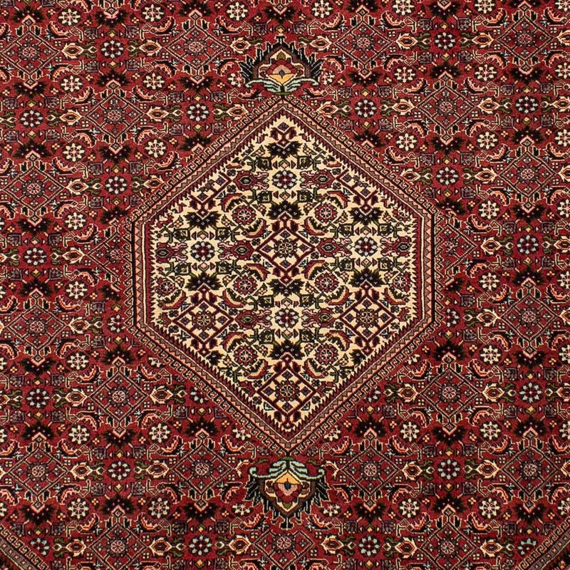 Tapis persan - Bidjar - 292 x 196 cm - marron