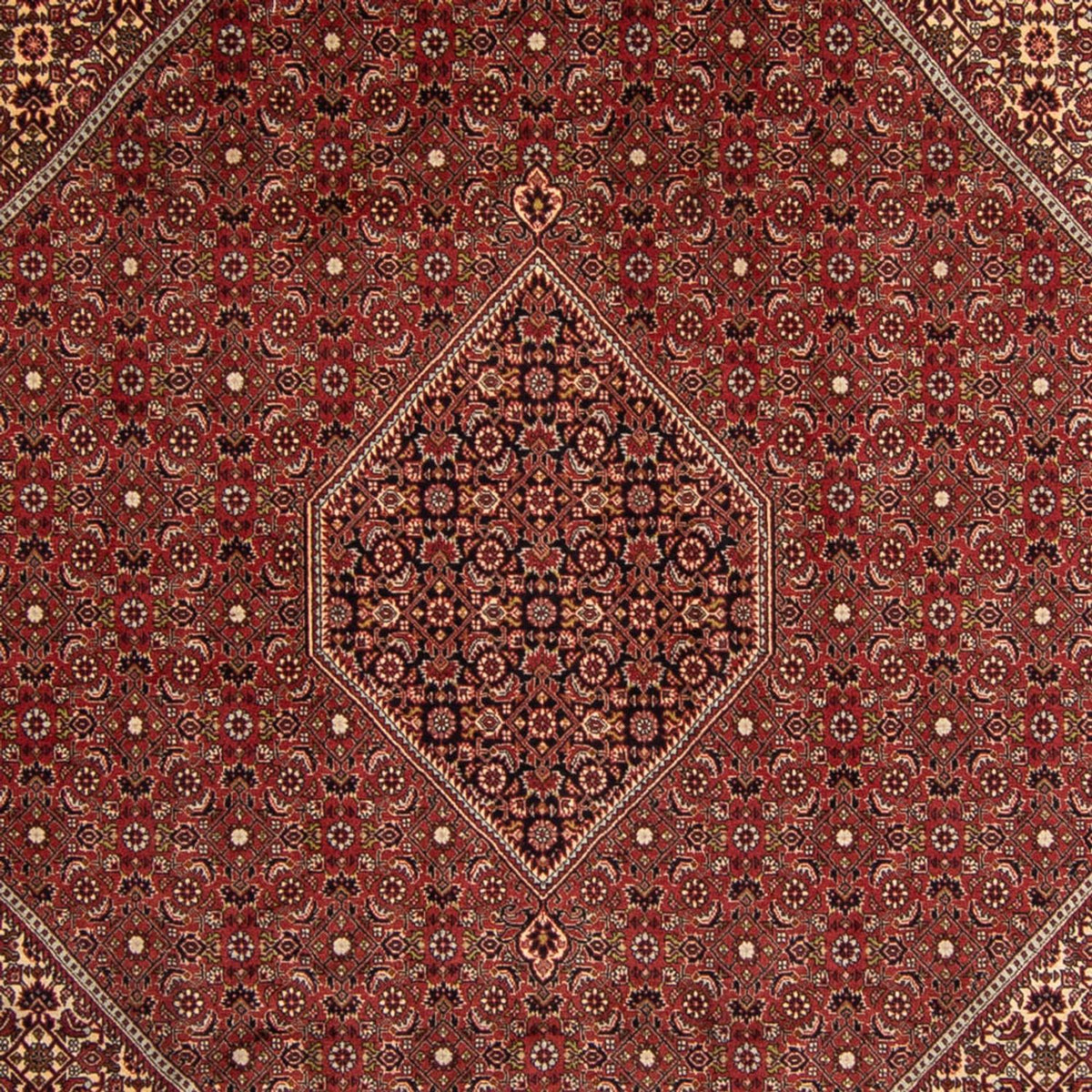 Tapis persan - Bidjar - 345 x 247 cm - marron