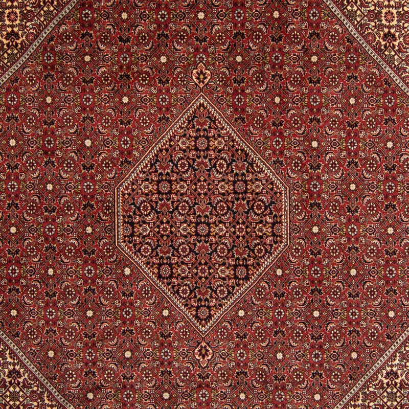 Tapis persan - Bidjar - 345 x 247 cm - marron