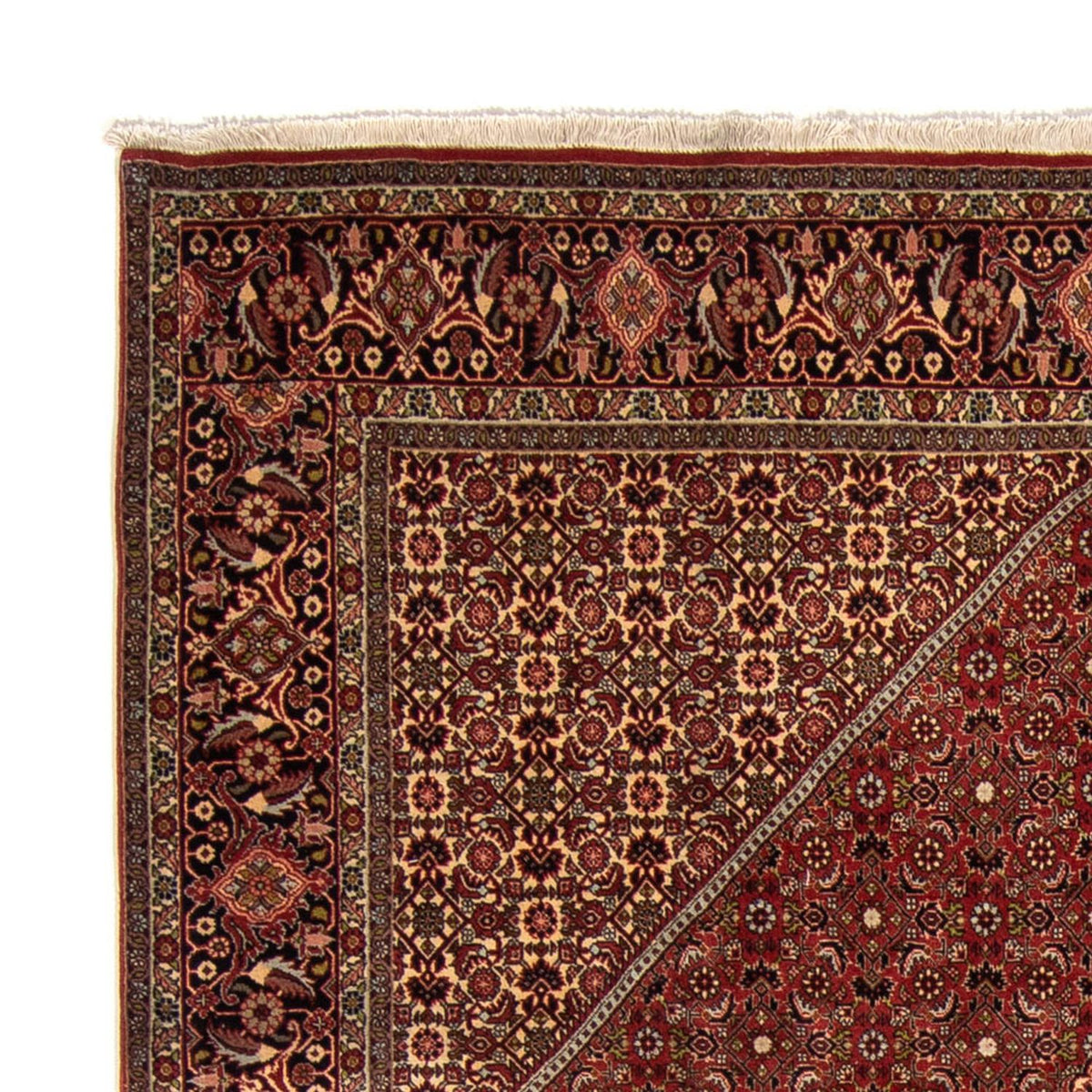 Tapis persan - Bidjar - 345 x 247 cm - marron