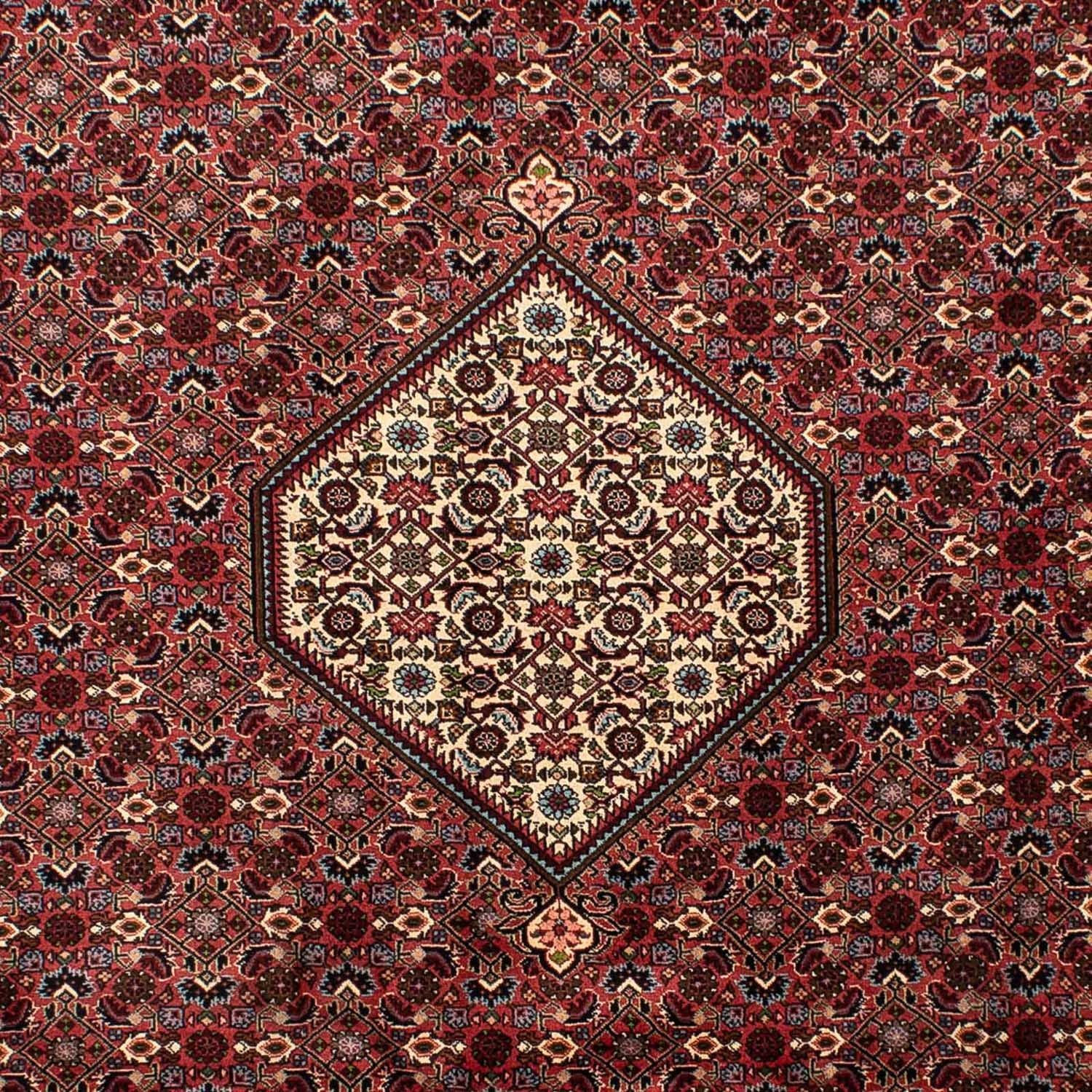 Tapis persan - Bidjar - 290 x 203 cm - marron