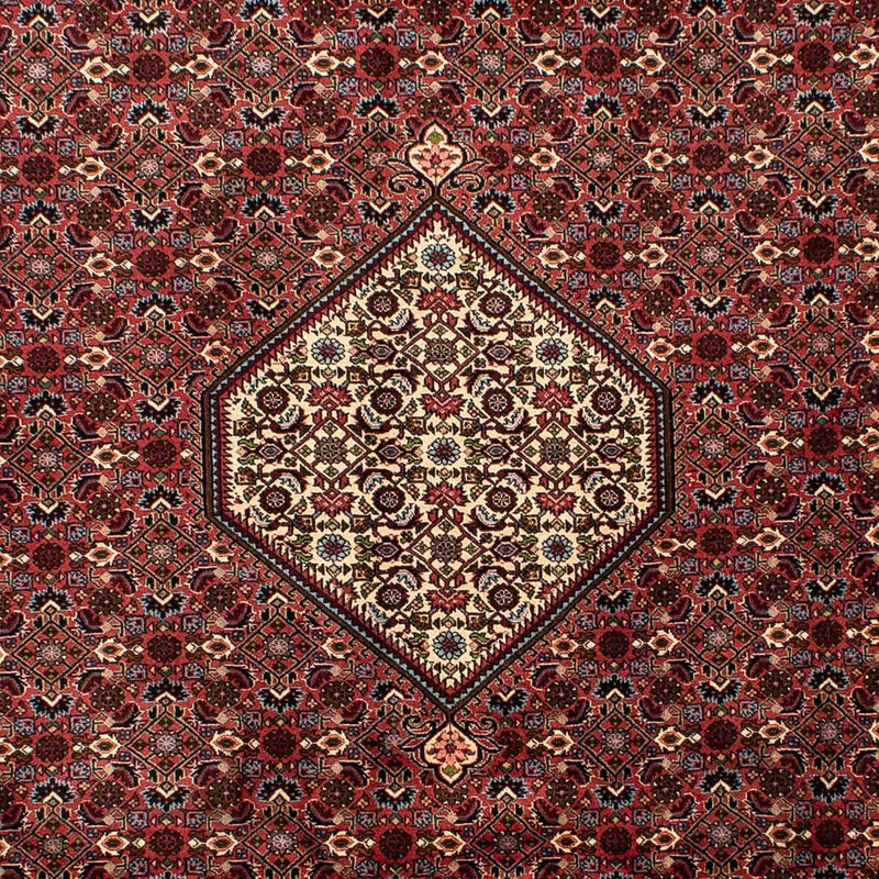 Tapis persan - Bidjar - 290 x 203 cm - marron