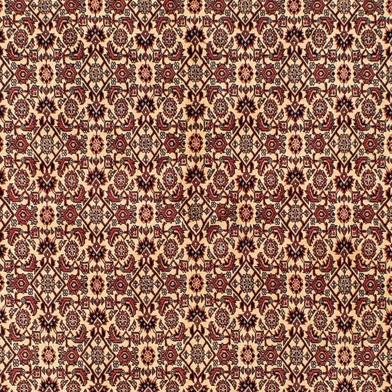 Tapis persan - Bidjar - 254 x 171 cm - marron