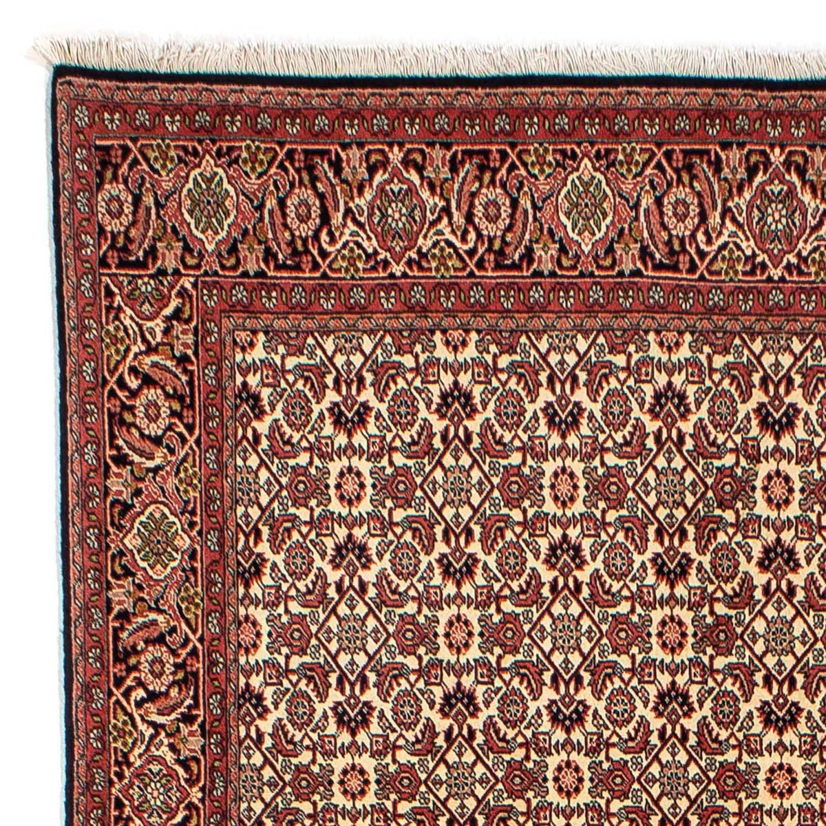 Tapis persan - Bidjar - 254 x 171 cm - marron