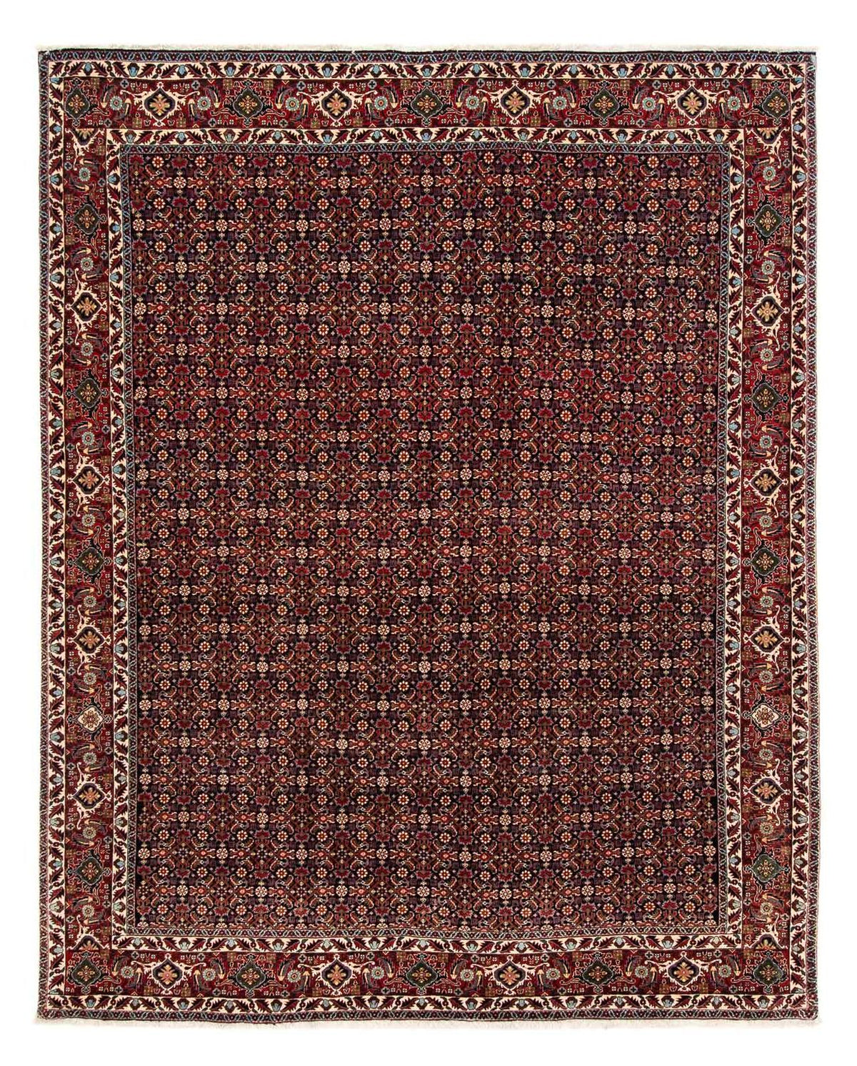 Tapis persan - Bidjar - 248 x 205 cm - rouge foncé