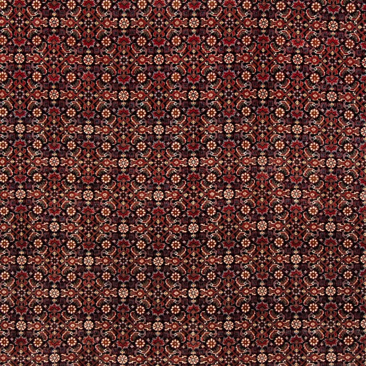 Tapis persan - Bidjar - 248 x 205 cm - rouge foncé