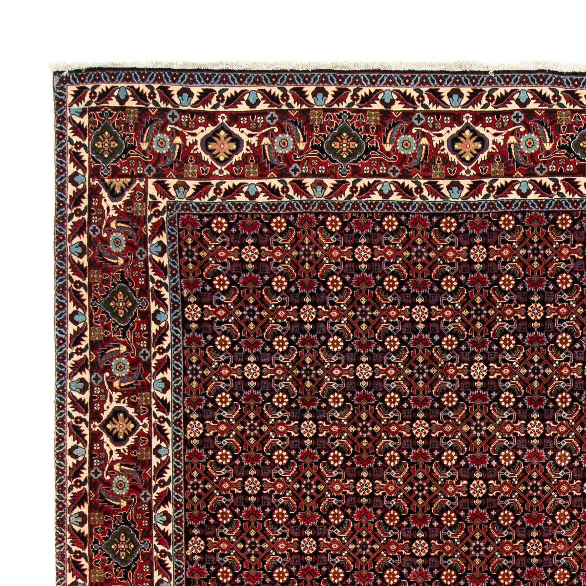 Tapis persan - Bidjar - 248 x 205 cm - rouge foncé