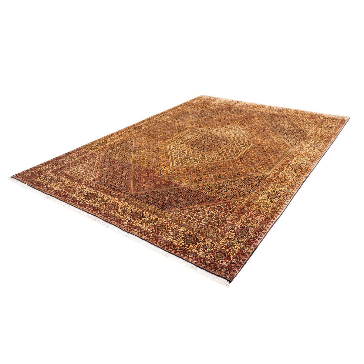 Tapis persan - Bidjar - 297 x 202 cm - multicolore