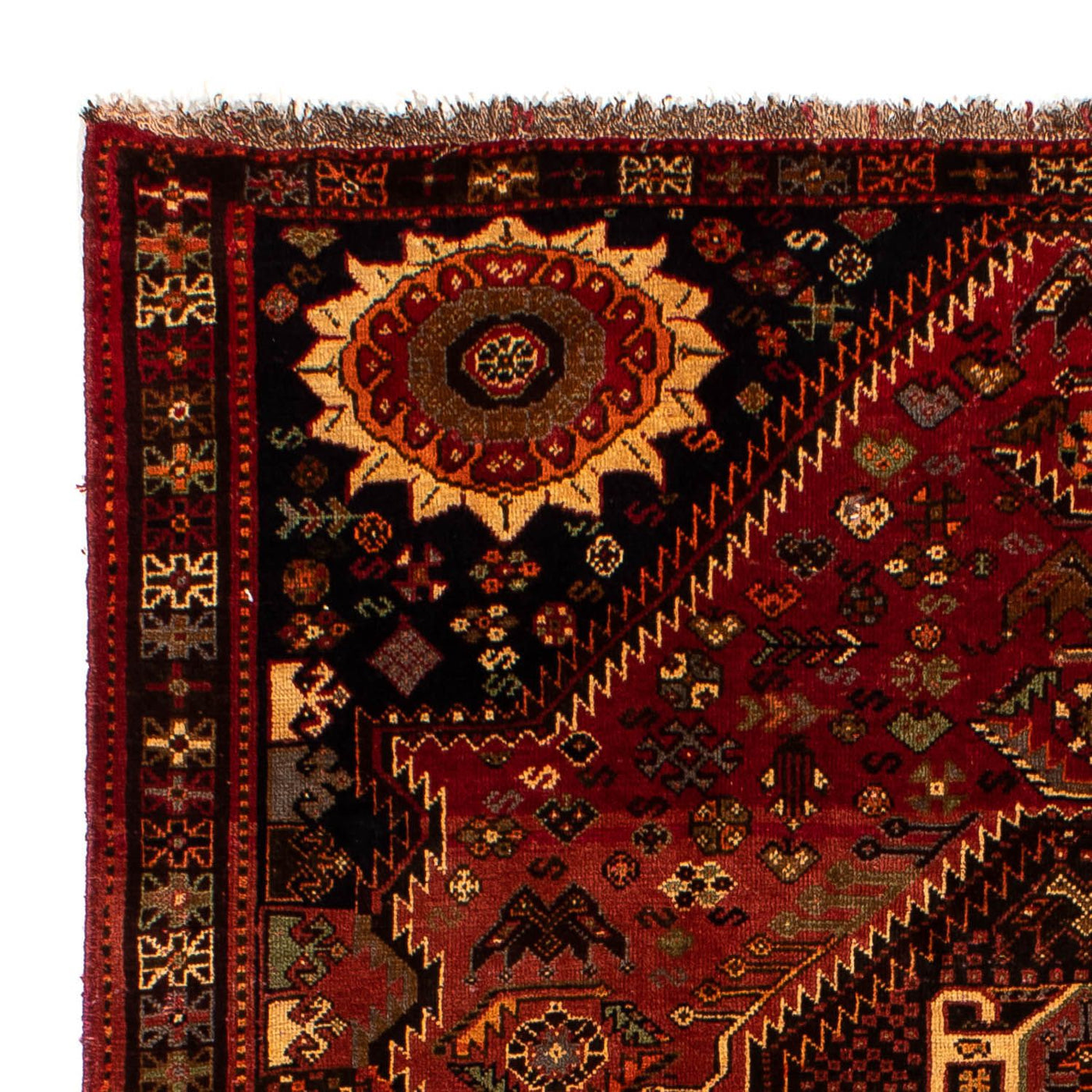 Tapis de Chiraz Tapis 285x185cm - Tapis persan