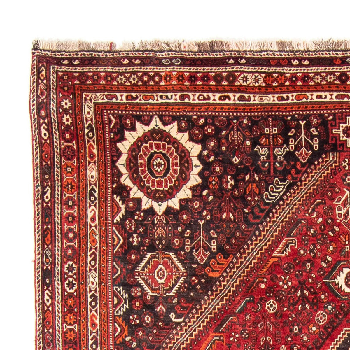 Tapis persan - Nomadic - 328 x 215 cm - rouge foncé