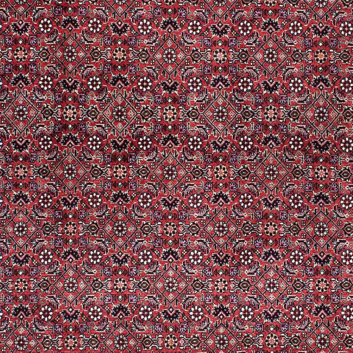 Tapis persan - Bidjar - 200 x 133 cm - rouge clair