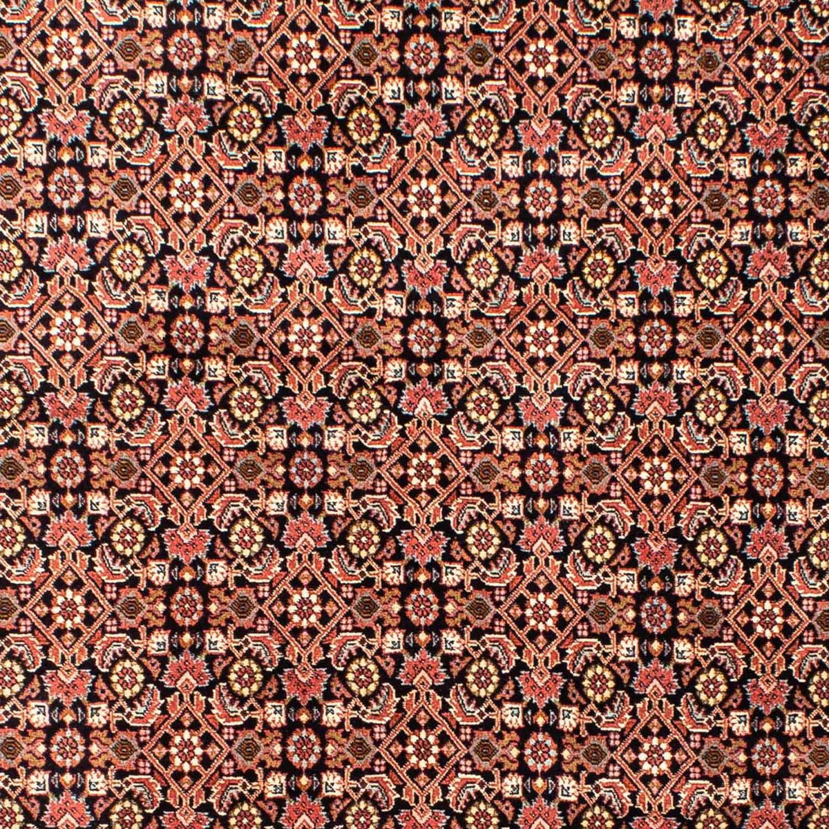 Tapis persan - Bidjar - 235 x 170 cm - rouge clair