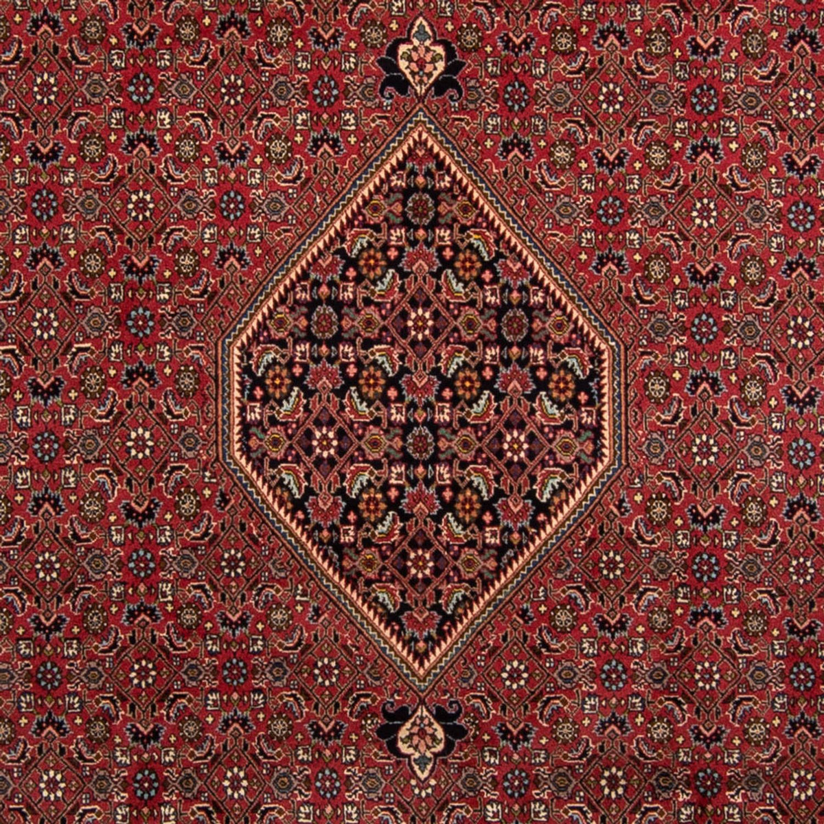 Tapis persan - Bidjar - 343 x 248 cm - marron