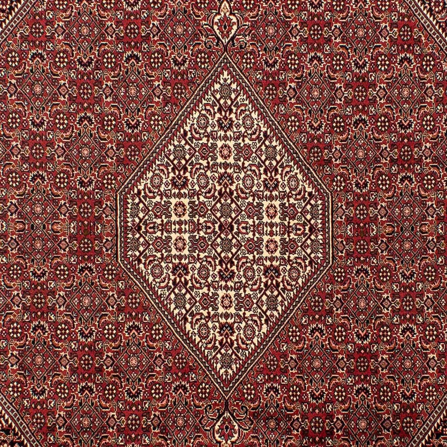 Tapis persan - Bidjar - 304 x 200 cm - marron