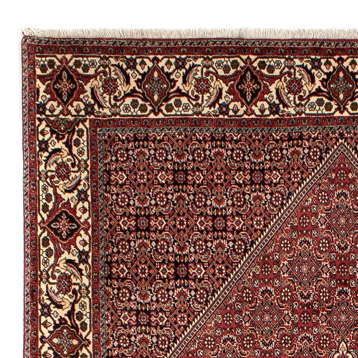 Tapis persan - Bidjar - 304 x 200 cm - marron
