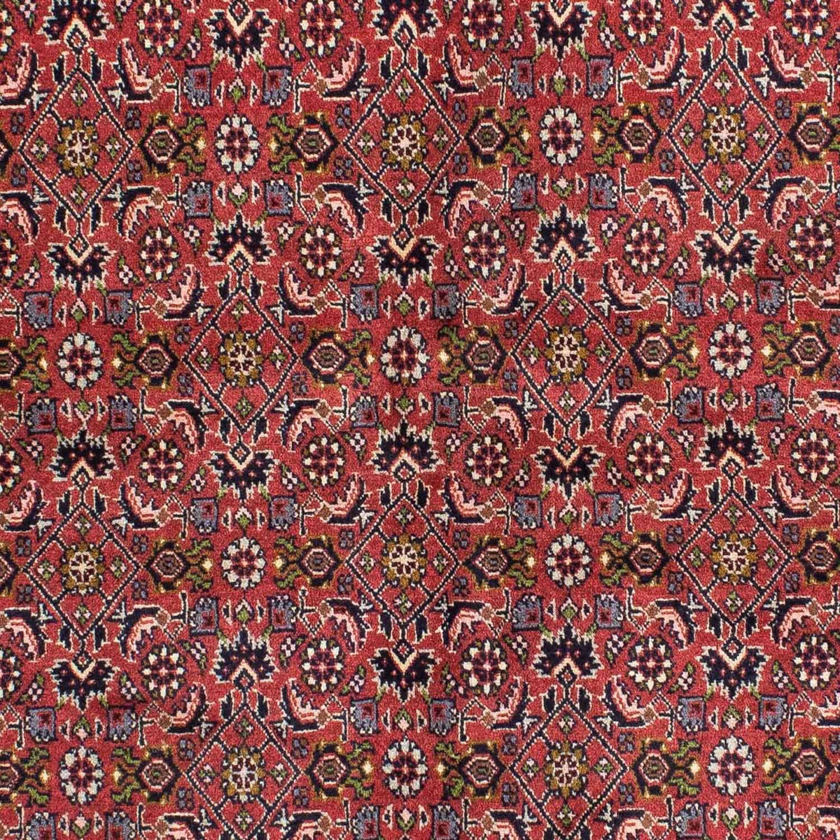 Tapis persan - Bidjar - 207 x 142 cm - rouge