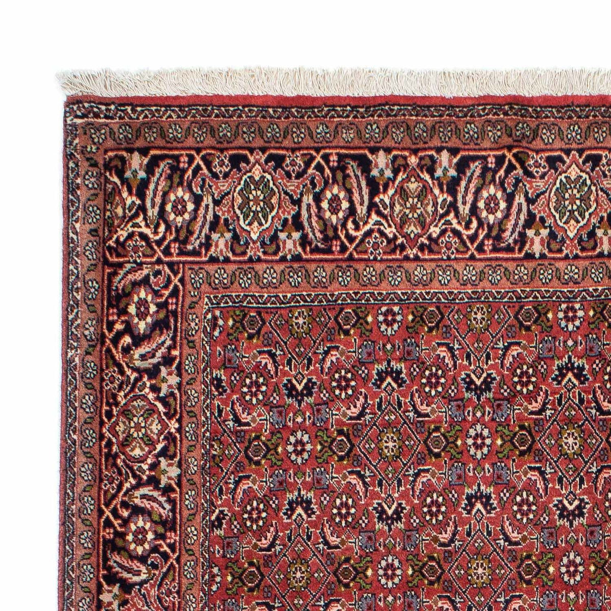 Bidjar - Zanjan Tapis 142x207cm - Tapis persan