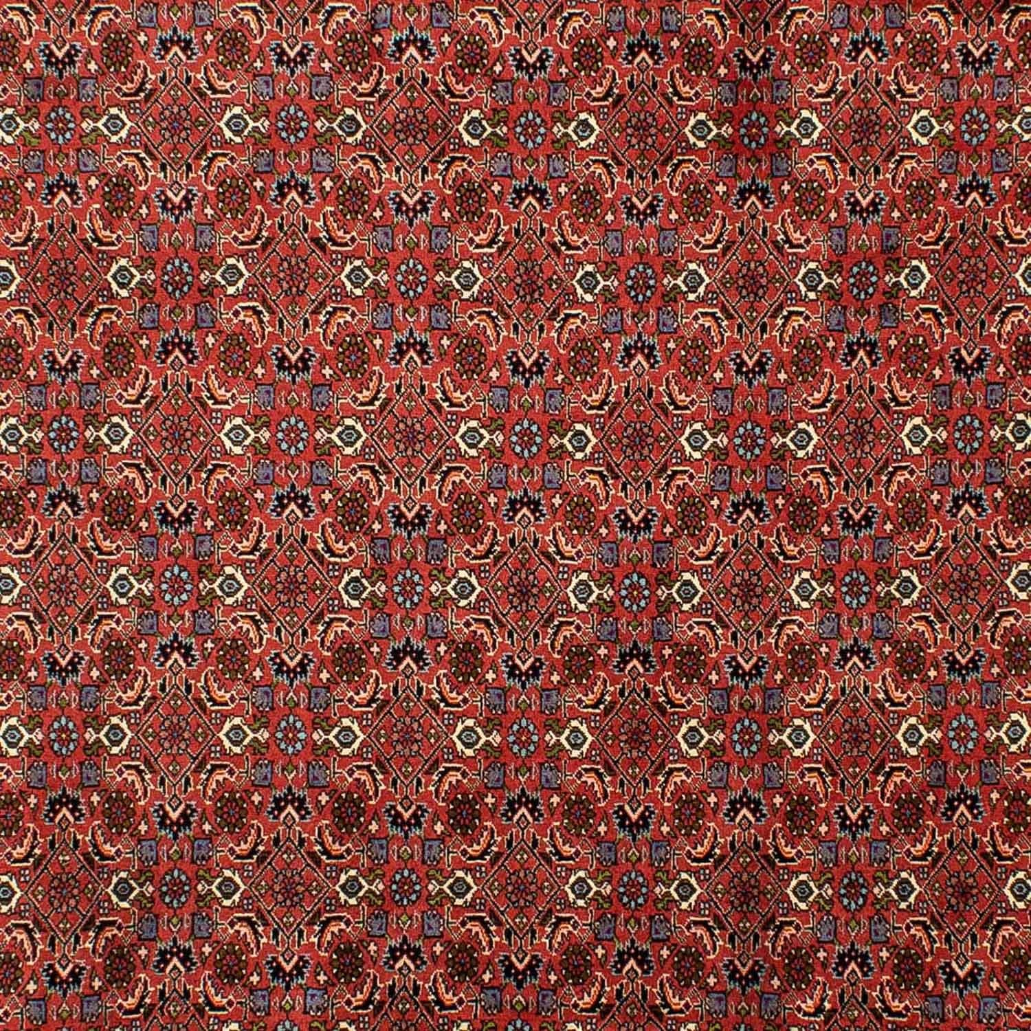 Tapis persan - Bidjar - 290 x 200 cm - rouge foncé